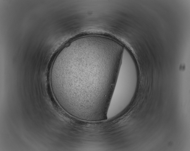 X0000088900487200707061458