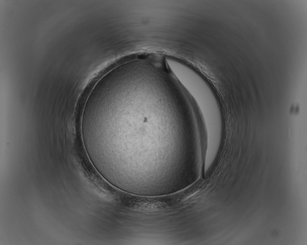 X0000088900488200707061458