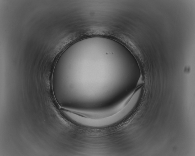 X0000088900489200707061458