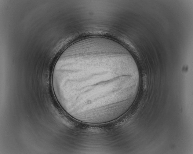 X0000088900490200707061458