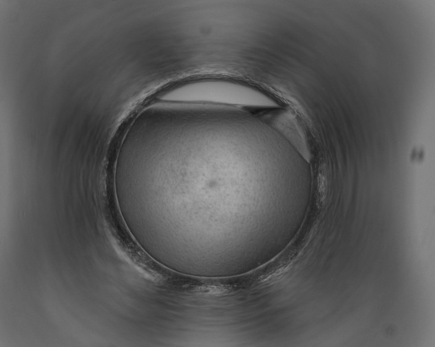 X0000088900492200707061458