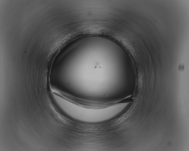 X0000088900493200707061458