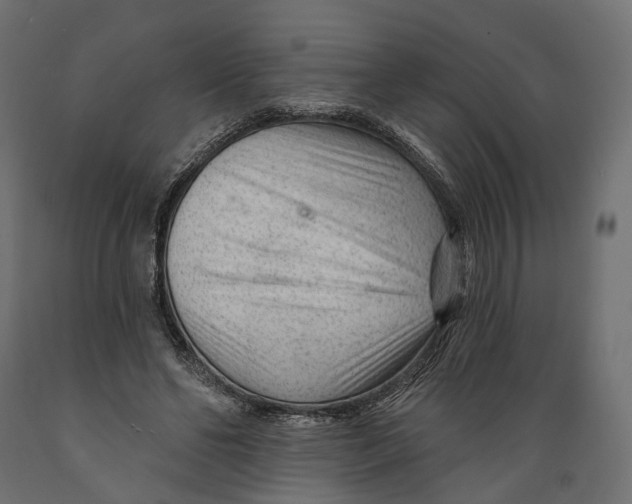 X0000088900494200707061458