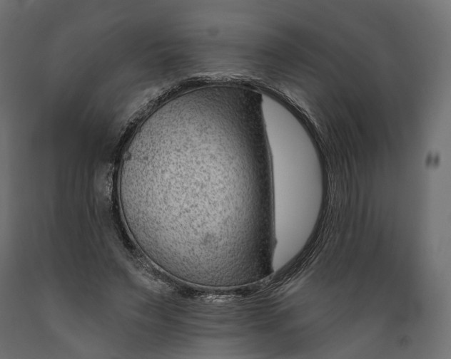 X0000088900495200707061458