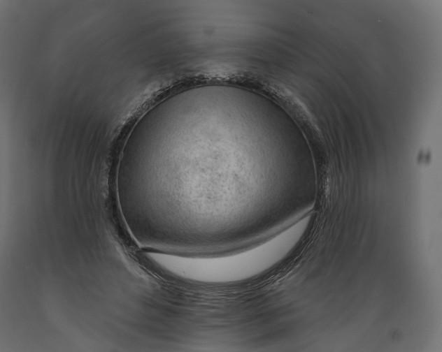 X0000088900496200707061458