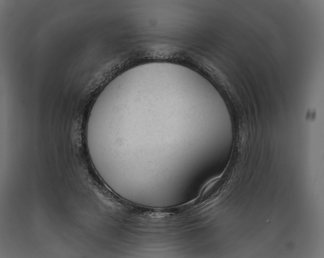 X0000088900497200707061458