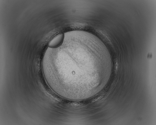 X0000088900498200707061458