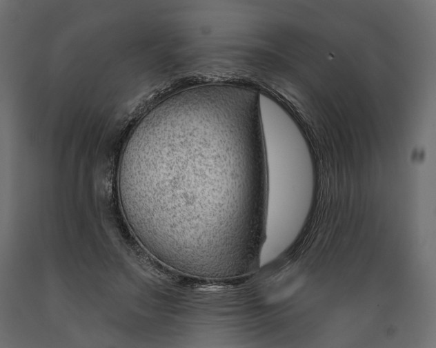 X0000088900499200707061458