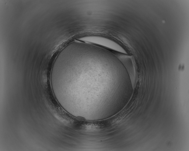 X0000088900500200707061458