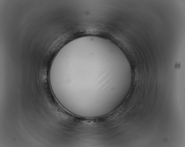 X0000088900502200707061457