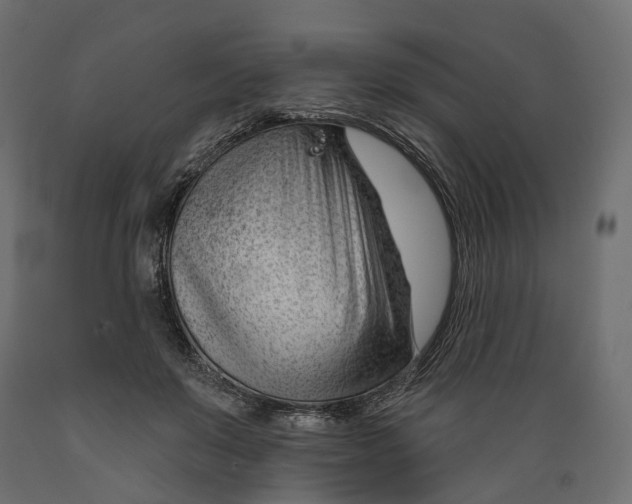 X0000088900503200707061457