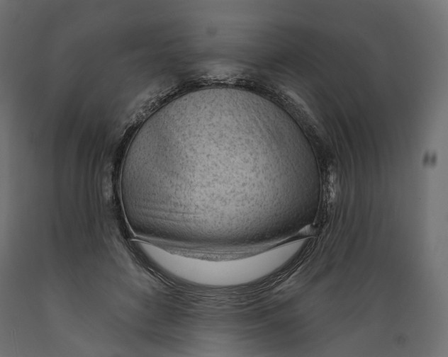 X0000088900504200707061457