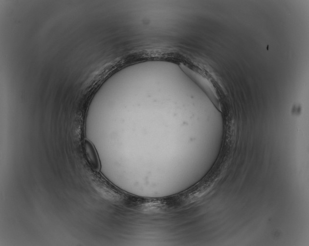 X0000088900505200707061457