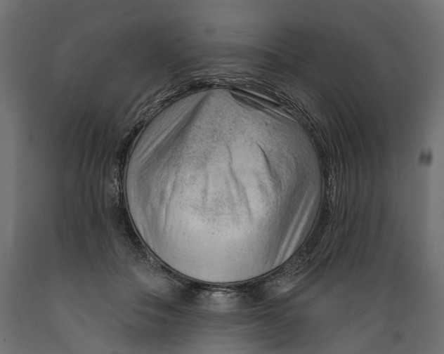 X0000088900506200707061457