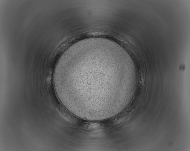 X0000088900507200707061457