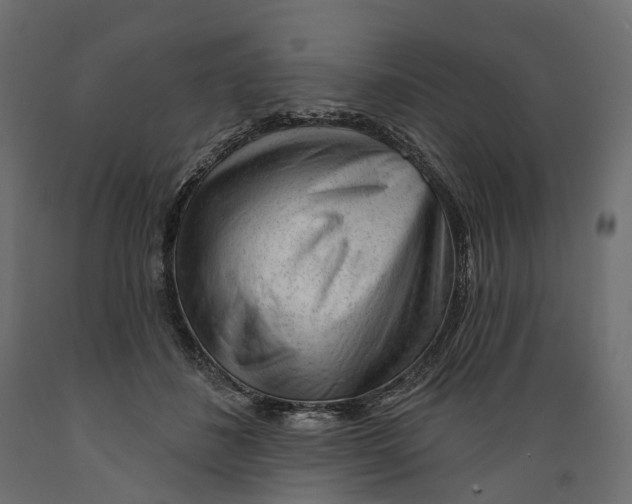 X0000088900508200707061457