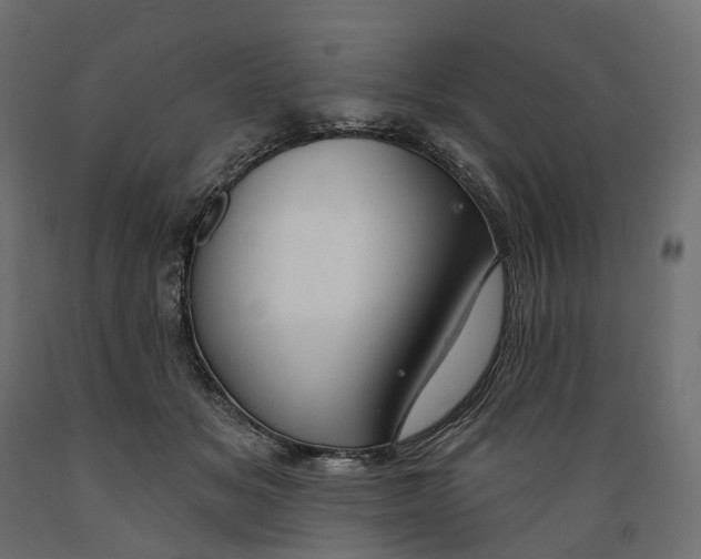 X0000088900509200707061457