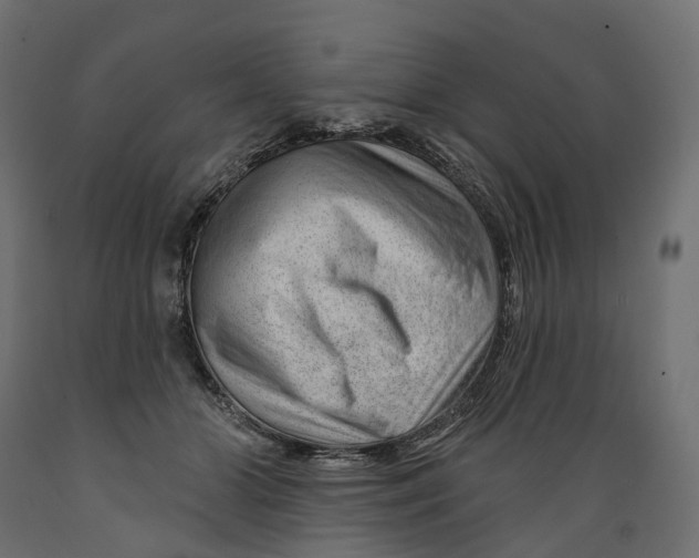 X0000088900510200707061457