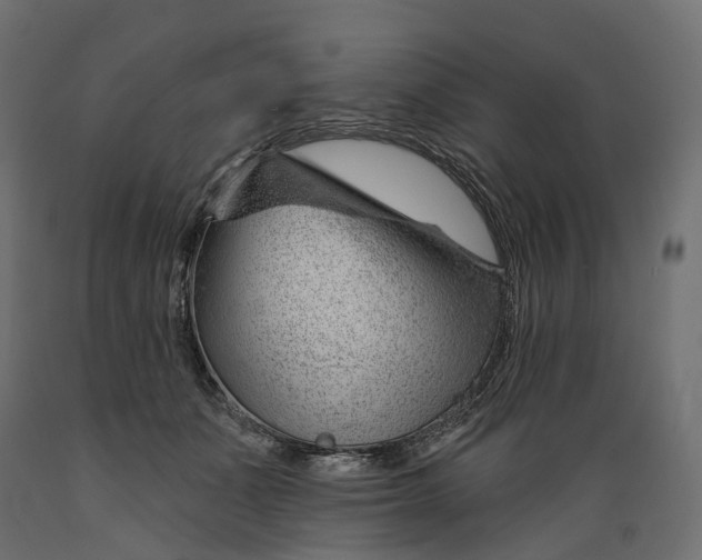 X0000088900511200707061457