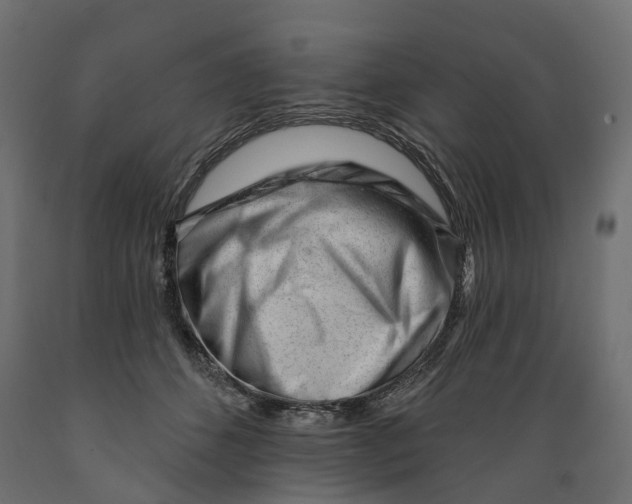 X0000088900512200707061457