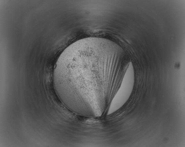 X0000088900515200707061457