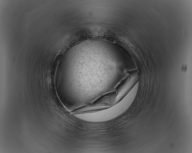 X0000088900516200707061457