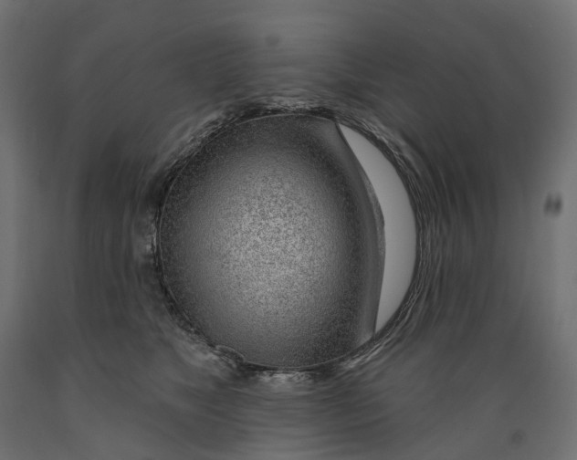 X0000088900517200707061457