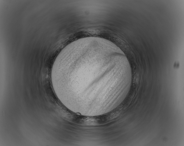 X0000088900518200707061457