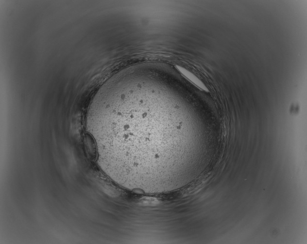 X0000088900519200707061457