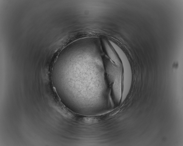 X0000088900520200707061457