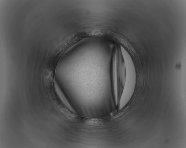 X0000088900521200707061457