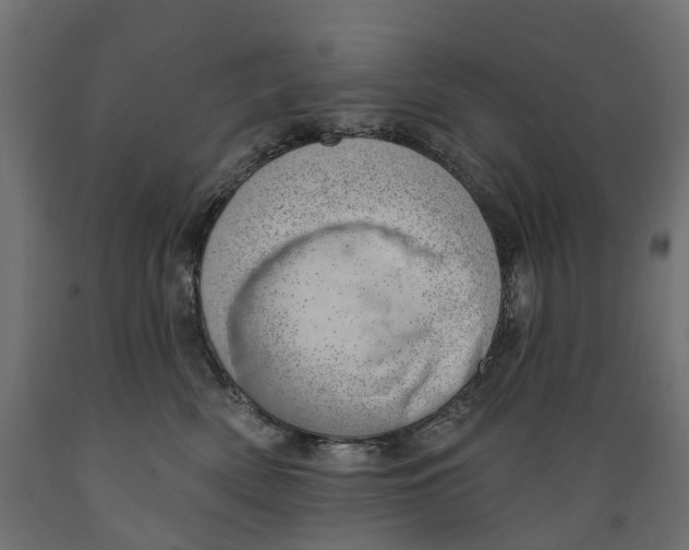 X0000088900522200707061457