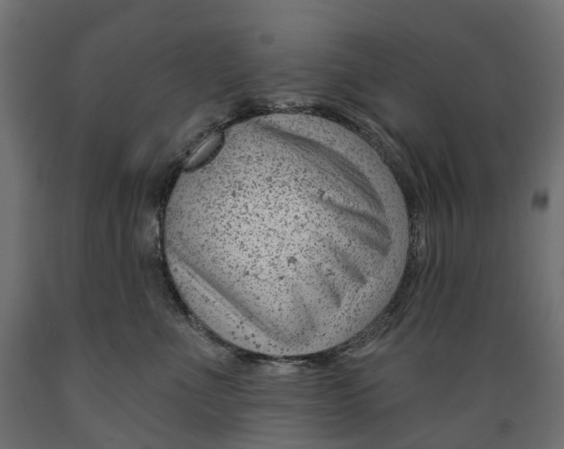 X0000088900523200707061457