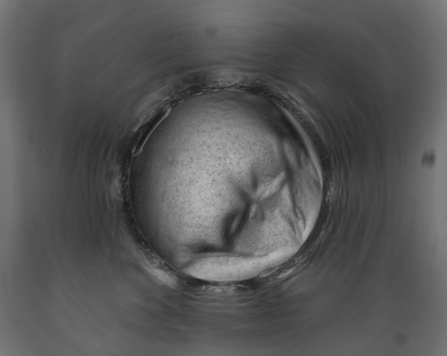 X0000088900524200707061457