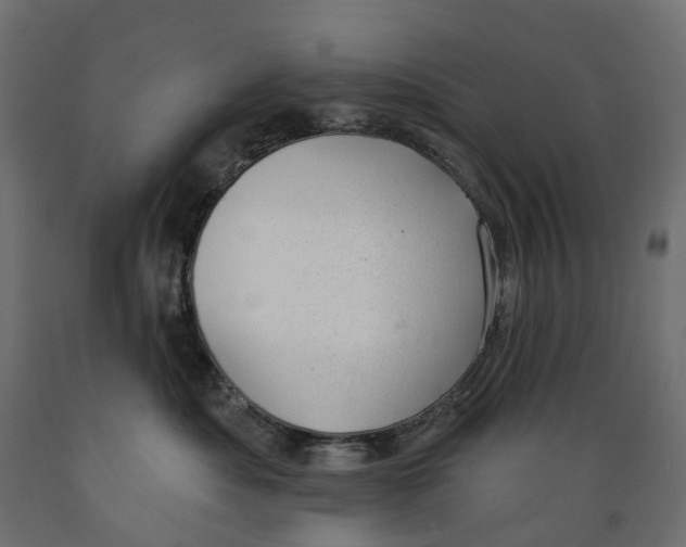 X0000088900525200707061457