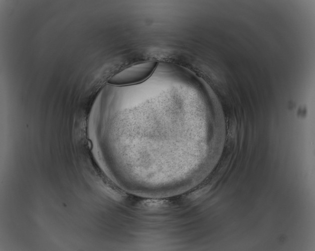 X0000088900526200707061457