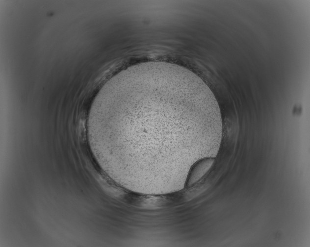 X0000088900527200707061457