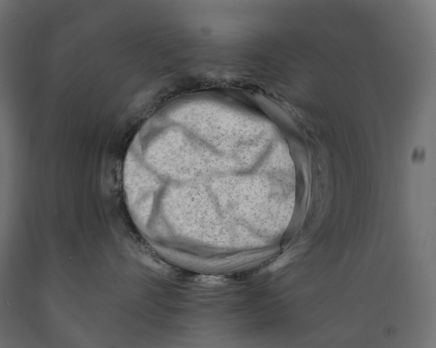 X0000088900528200707061457