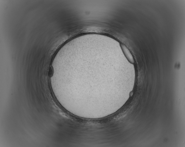 X0000088900529200707061456