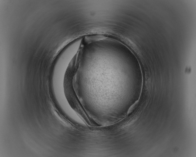 X0000088900530200707061456