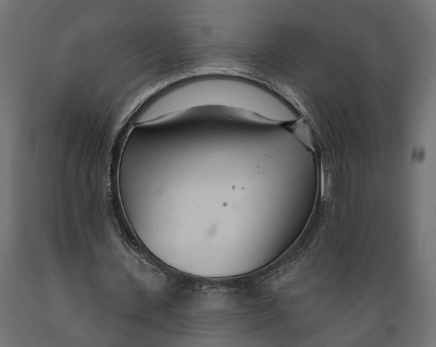 X0000088900531200707061456