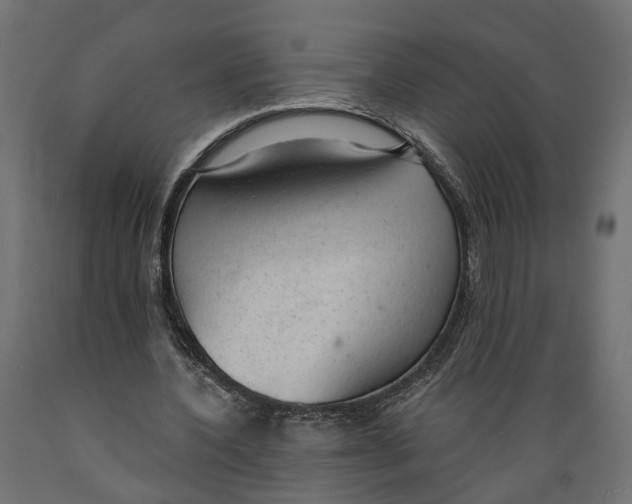 X0000088900532200707061456