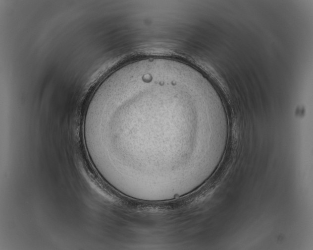 X0000088900533200707061457