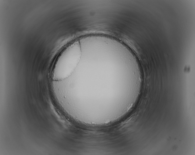 X0000088900534200707061457