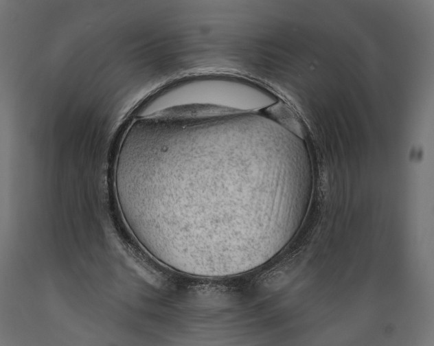 X0000088900535200707061457