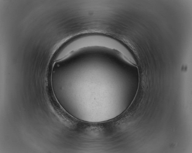 X0000088900536200707061457