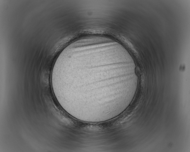 X0000088900537200707061457