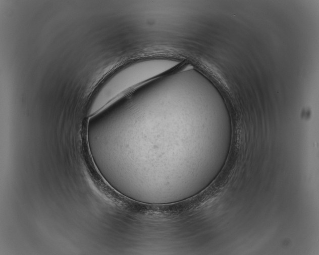 X0000088900538200707061457