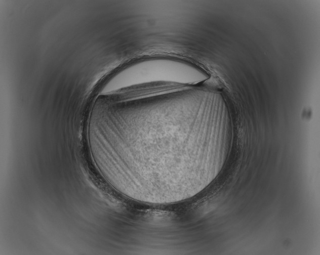 X0000088900539200707061457