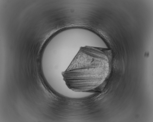 X0000088900540200707061457